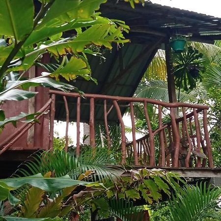 Villa Sigiri Panaromic Tree House Sigiriya Exterior foto