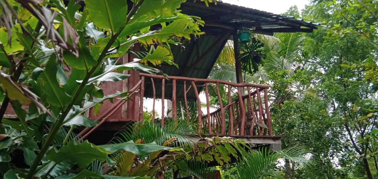 Villa Sigiri Panaromic Tree House Sigiriya Exterior foto
