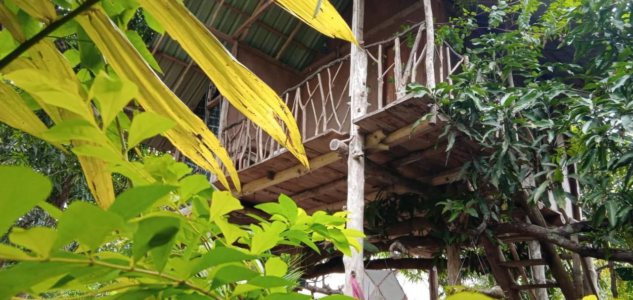 Villa Sigiri Panaromic Tree House Sigiriya Exterior foto