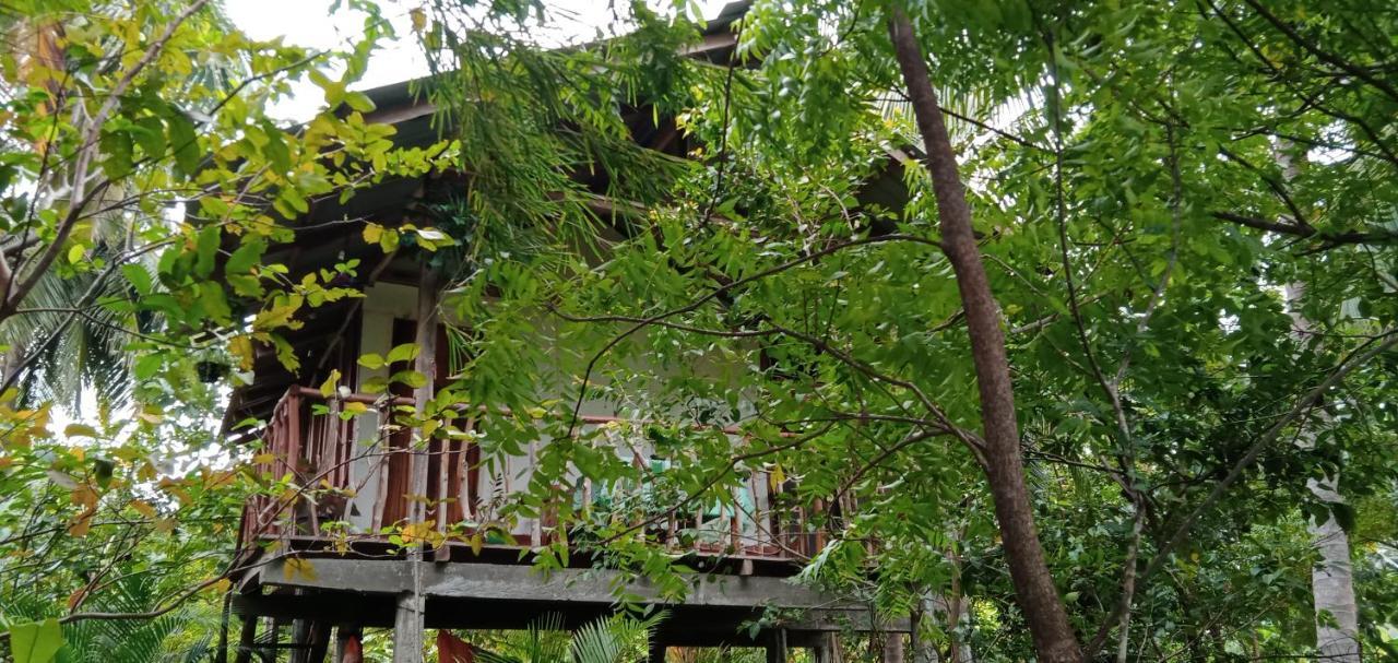 Villa Sigiri Panaromic Tree House Sigiriya Exterior foto