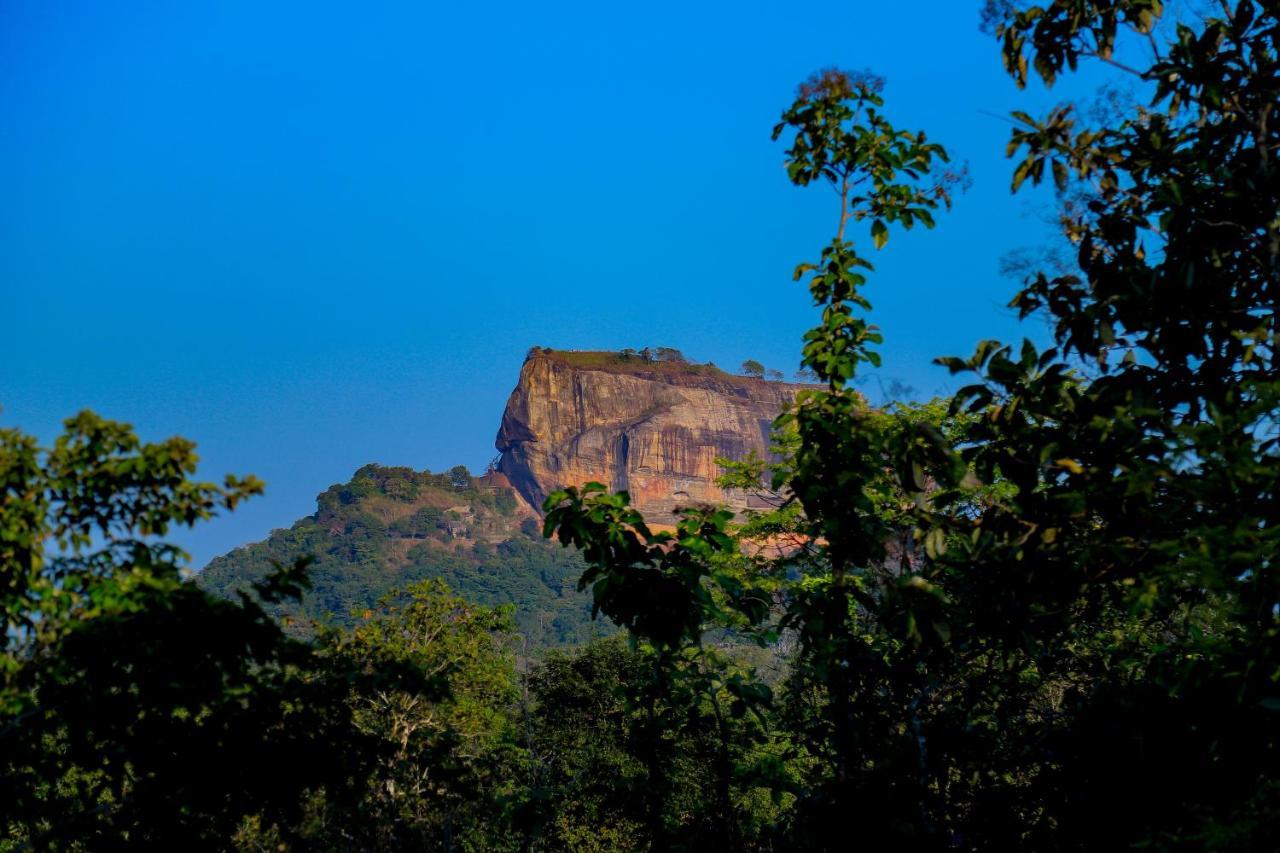 Villa Sigiri Panaromic Tree House Sigiriya Exterior foto
